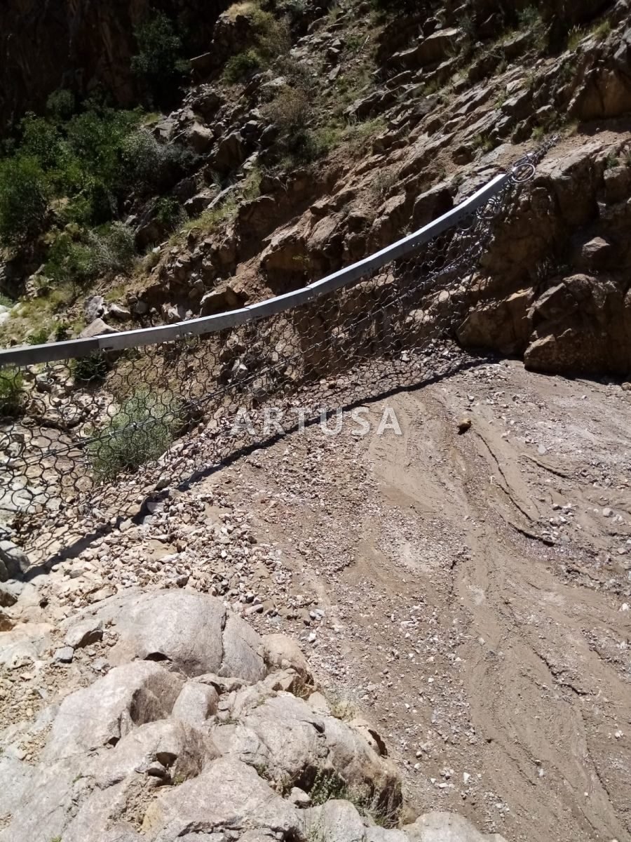 Debris flow barrier in a torrent